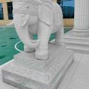 合肥 白麻花岗岩动物异形石雕-大象